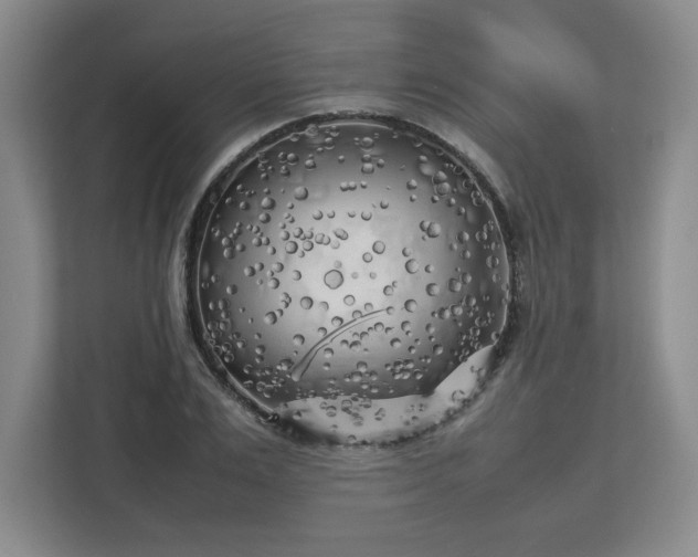 X0000112730983200908271425