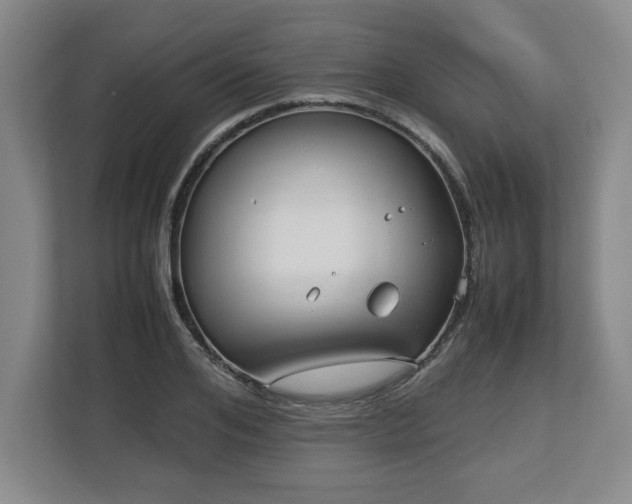 X0000112730984200908271425