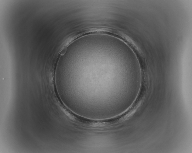 X0000112730985200908271425