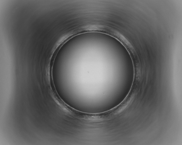 X0000112730986200908271425