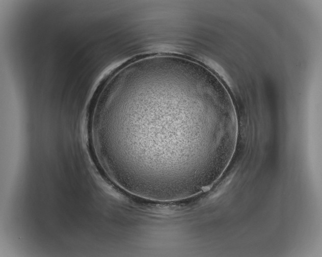 X0000112730987200908271425