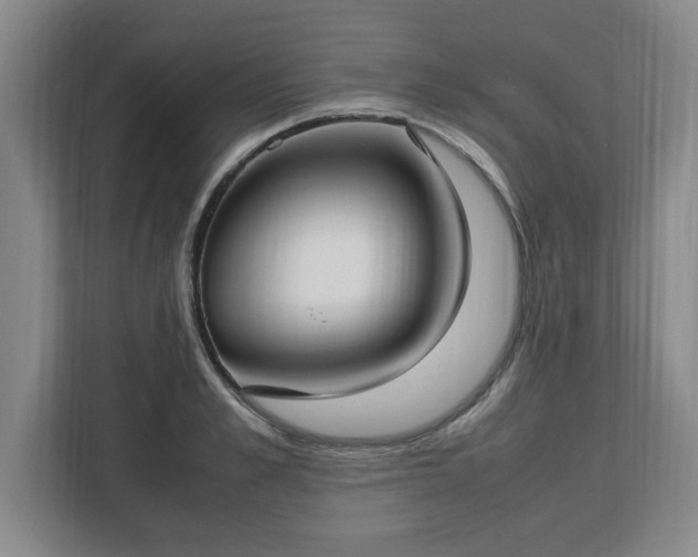 X0000112730989200908271425