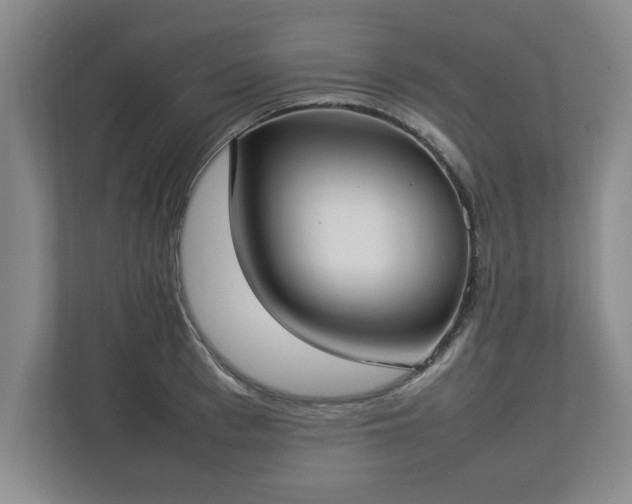 X0000112730993200908271425