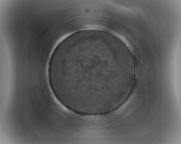 X0000112730995200908271424