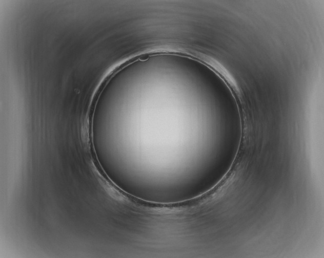 X0000112730996200908271424