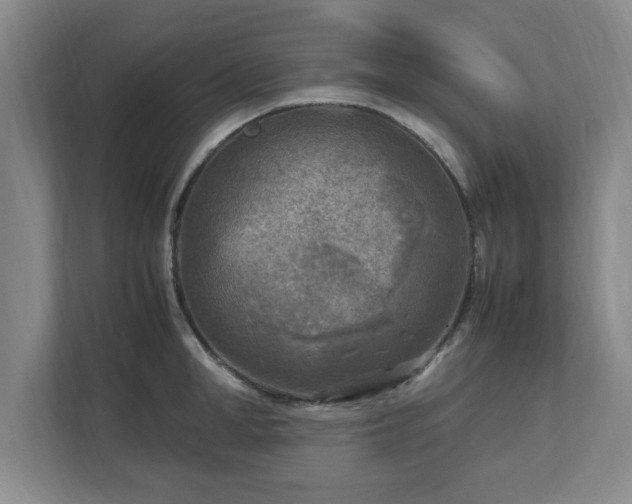 X0000112730998200908271424