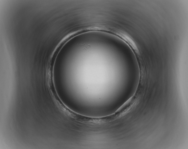 X0000112731000200908271424