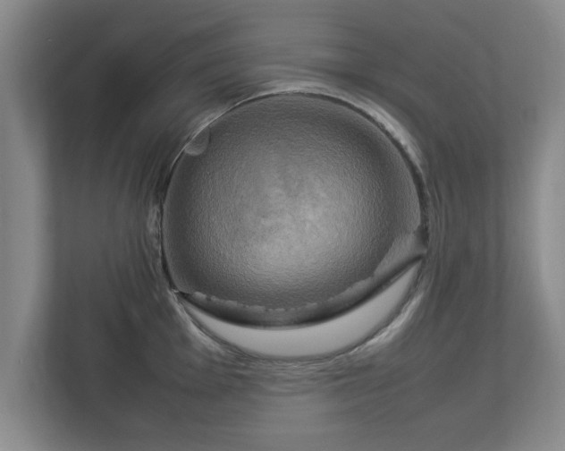 X0000112731001200908271424