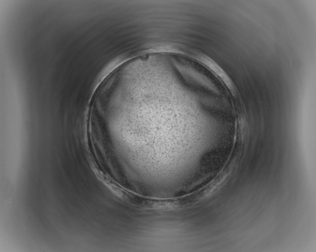 X0000112731002200908271424