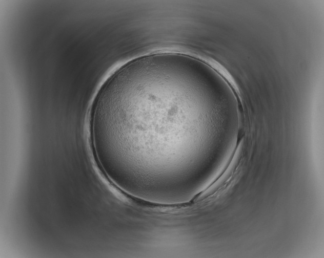 X0000112731005200908271424