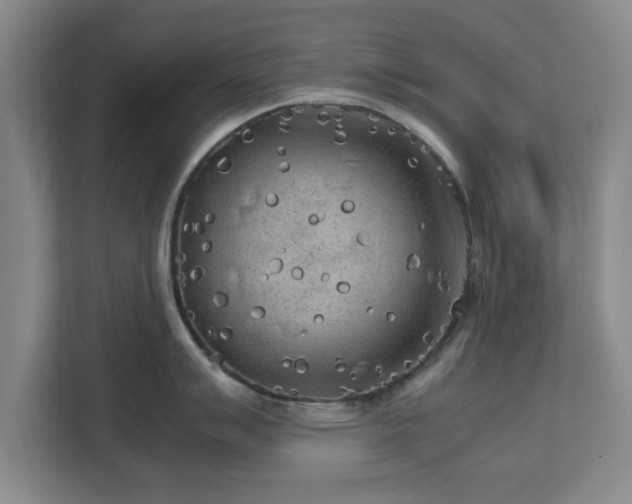 X0000112731007200908271424