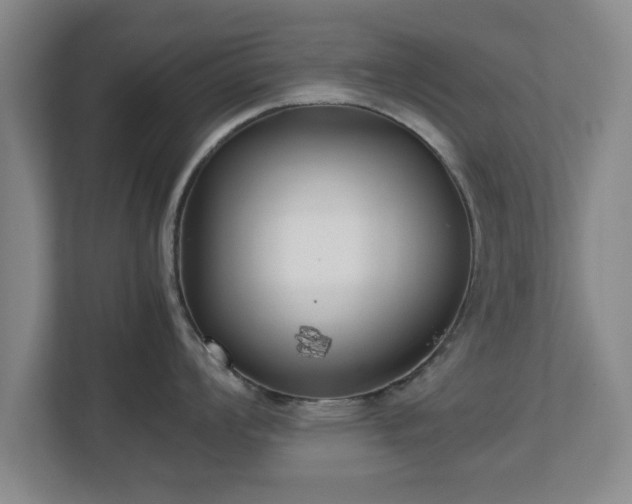 X0000112731008200908271424