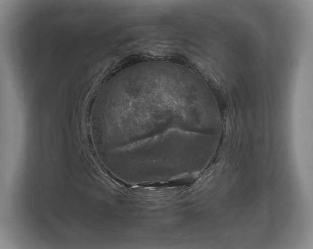 X0000112731009200908271424