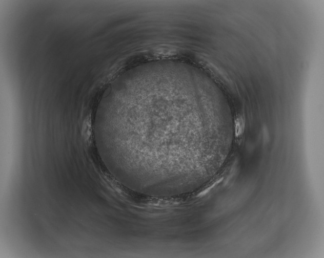 X0000112731011200908271424