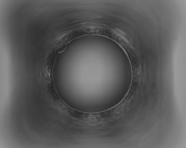 X0000112731013200908271424