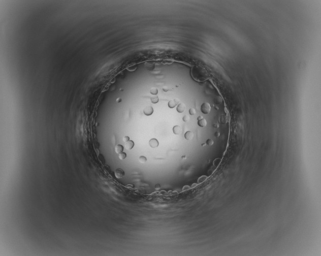 X0000112731014200908271424