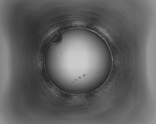 X0000112731015200908271424