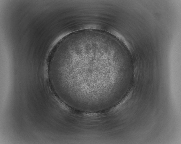 X0000112731019200908271424