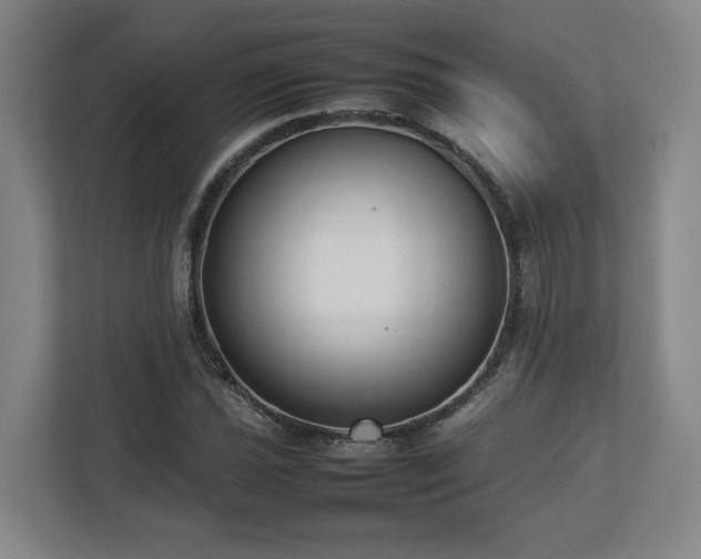 X0000112731021200908271424