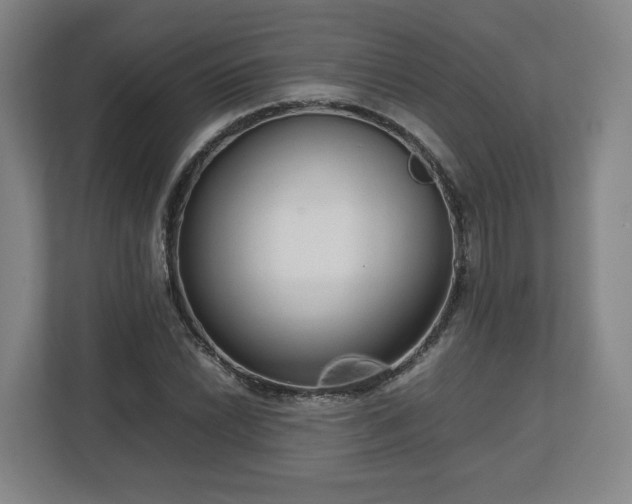 X0000112731022200908271424