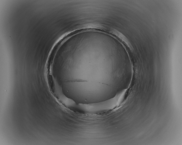 X0000112731024200908271424