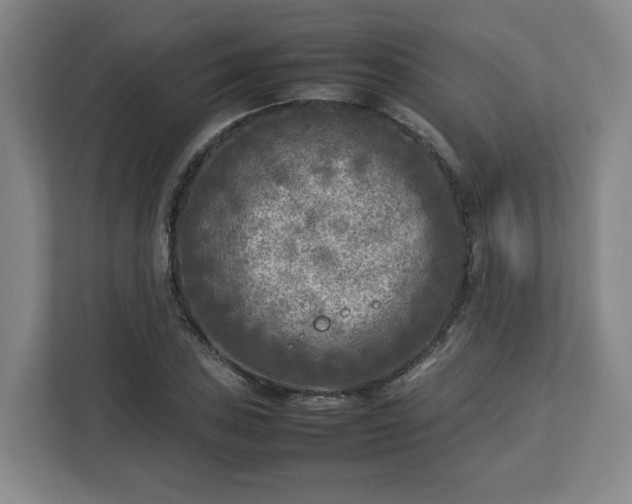 X0000112731027200908271424