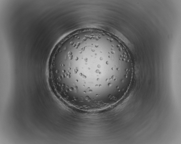 X0000112731028200908271424