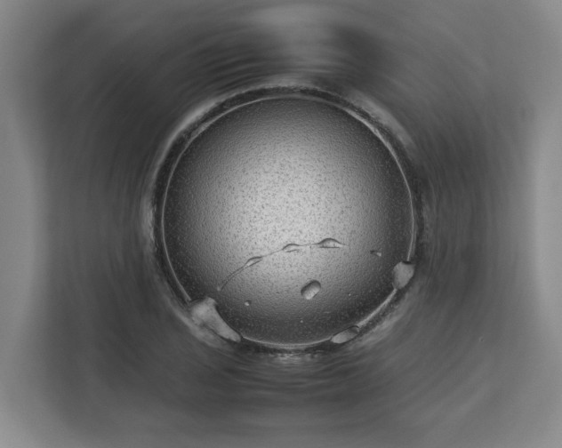 X0000112731029200908271424