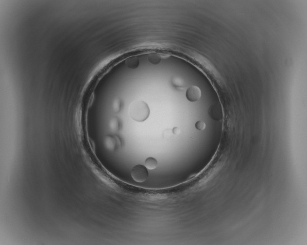 X0000112731030200908271424