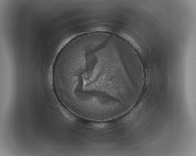 X0000112731031200908271424