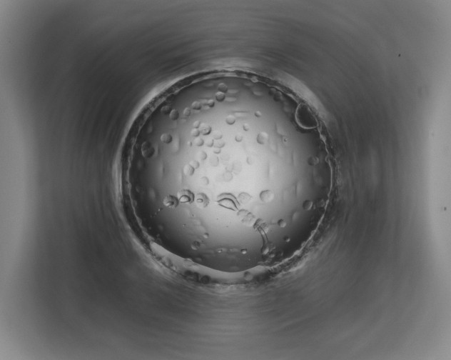 X0000112731032200908271424