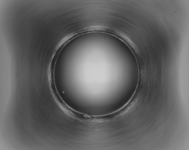 X0000112731034200908271424