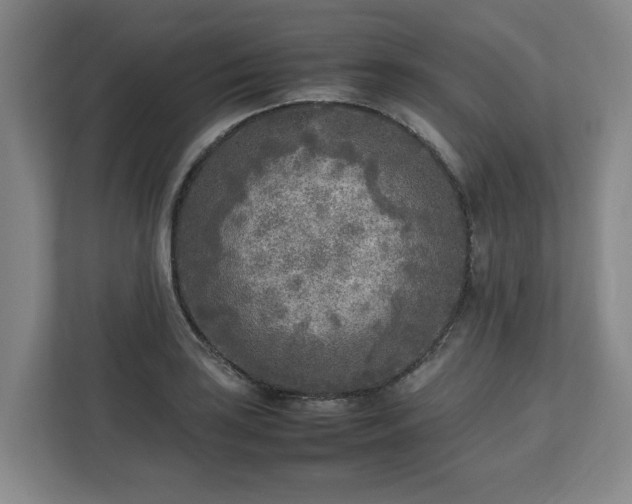 X0000112731035200908271424