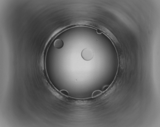 X0000112731036200908271424