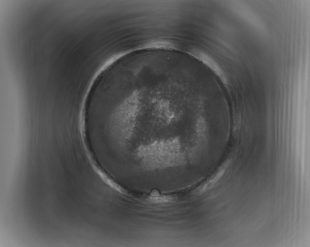 X0000112731037200908271424