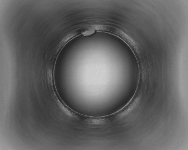 X0000112731041200908271424