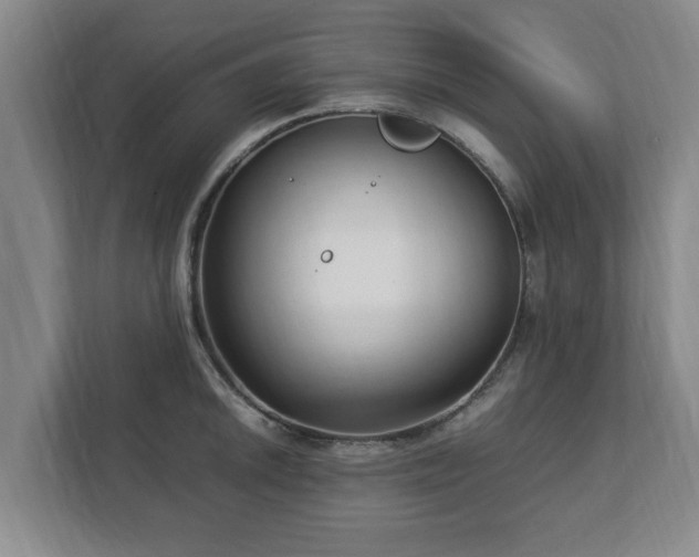 X0000112731046200908271424