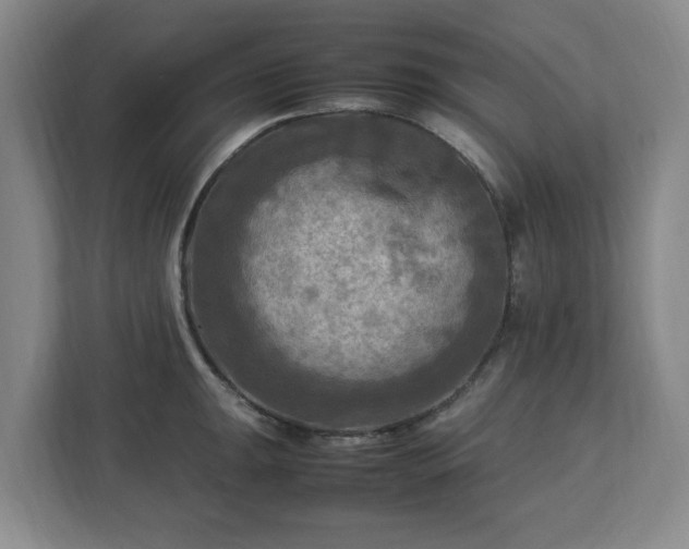 X0000112731047200908271424