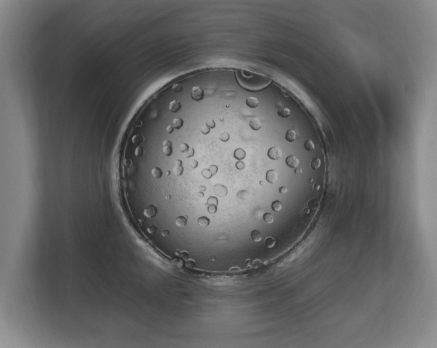 X0000112731048200908271424