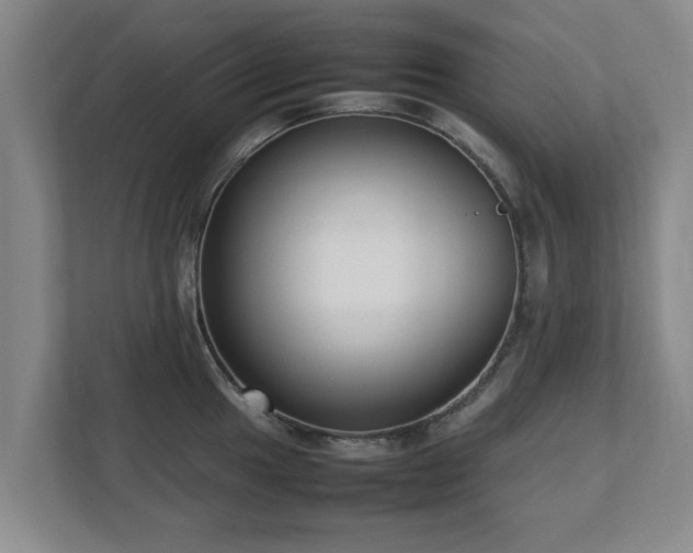 X0000112731049200908271424