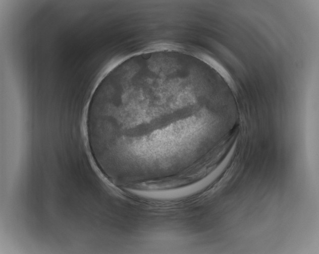 X0000112731055200908271424