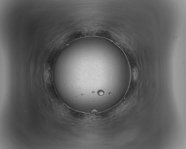 X0000112731059200908271424