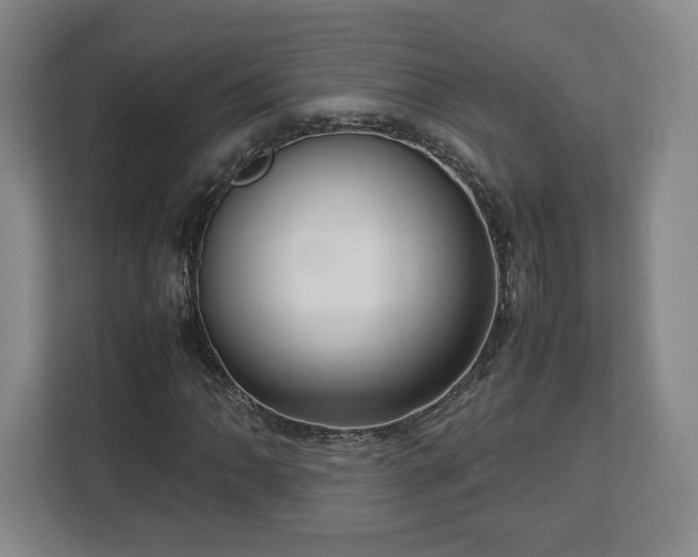 X0000112731062200908271424