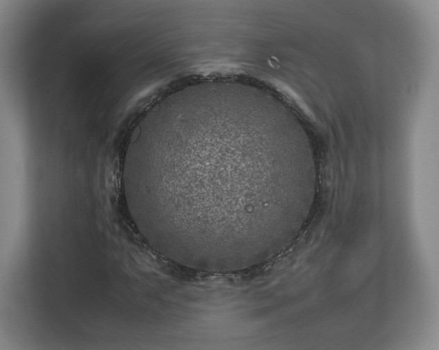 X0000112731063200908271424