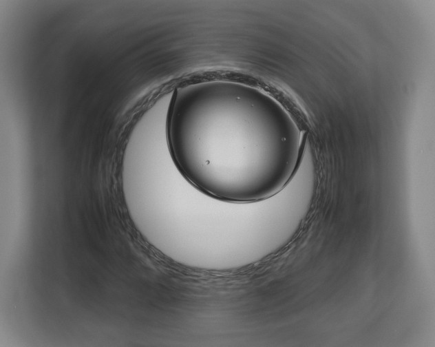 X0000112731064200908271424