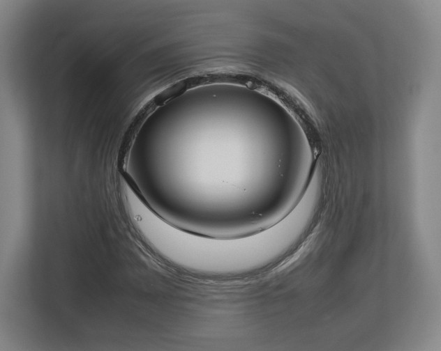 X0000112731065200908271424