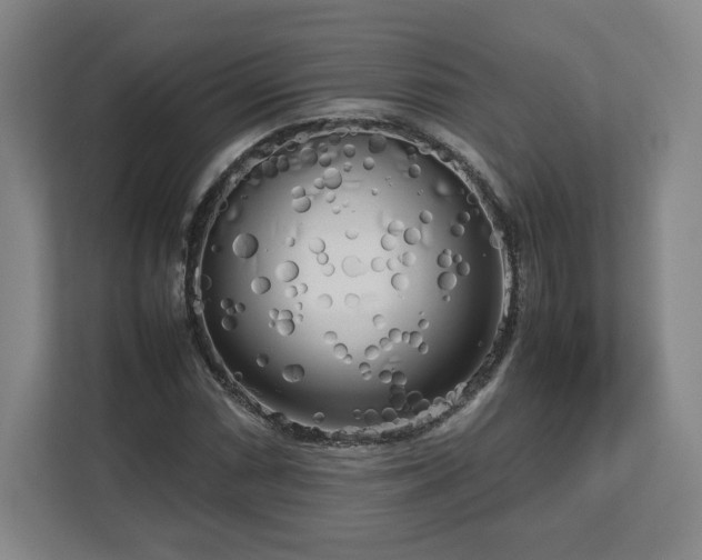 X0000112731066200908271424