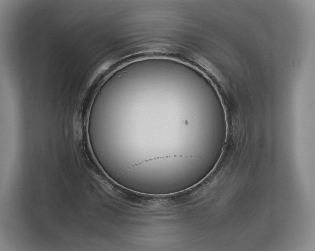 X0000112731067200908271424