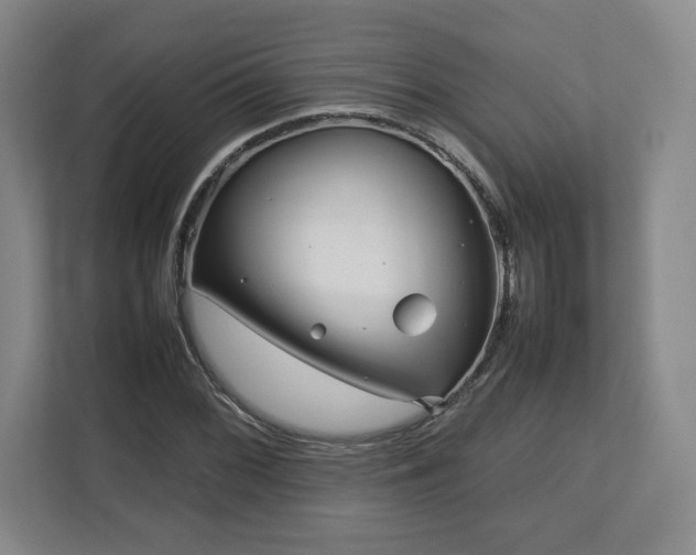 X0000112731068200908271424