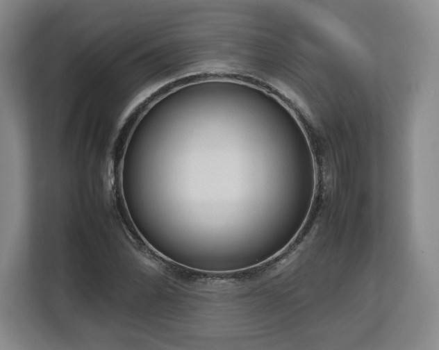 X0000112731070200908271424